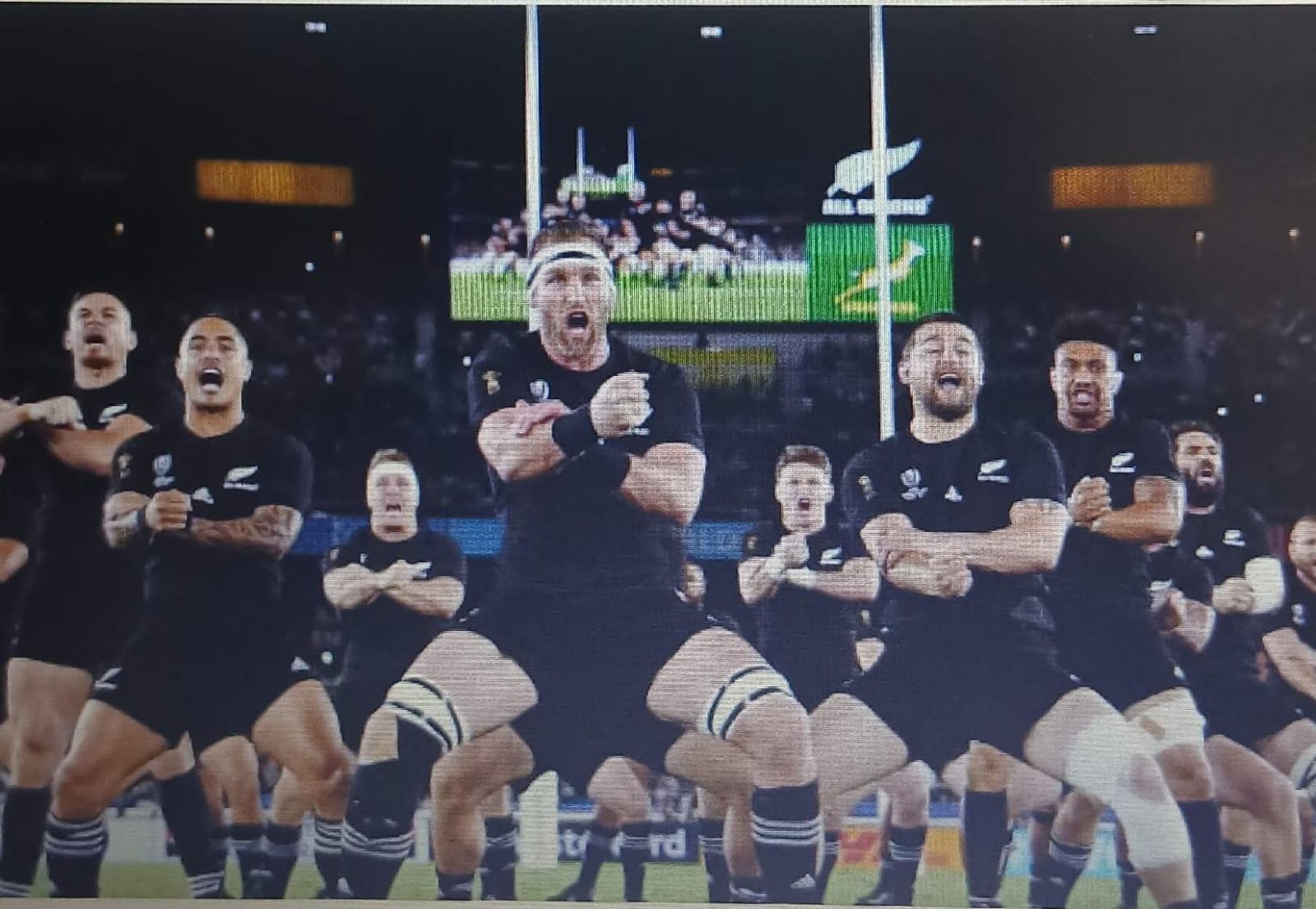 Māori All Blacks Return to Japan as Cultural Powerhouses Set to Ignite Nagoya Showdown