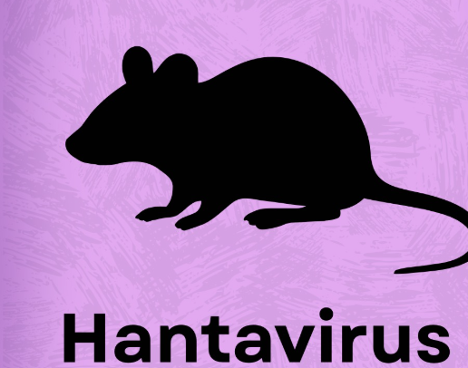 Hantavirus Cluster Linked To Cruise Ship Travel, Multi-Country