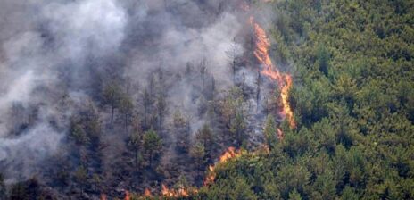 Deadly Wildfire Traps Victims Who Defied Spain Evacuation