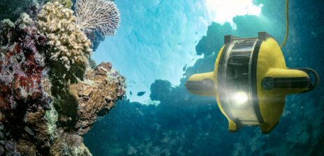 Deep-sea missions discover biodiversity below waves