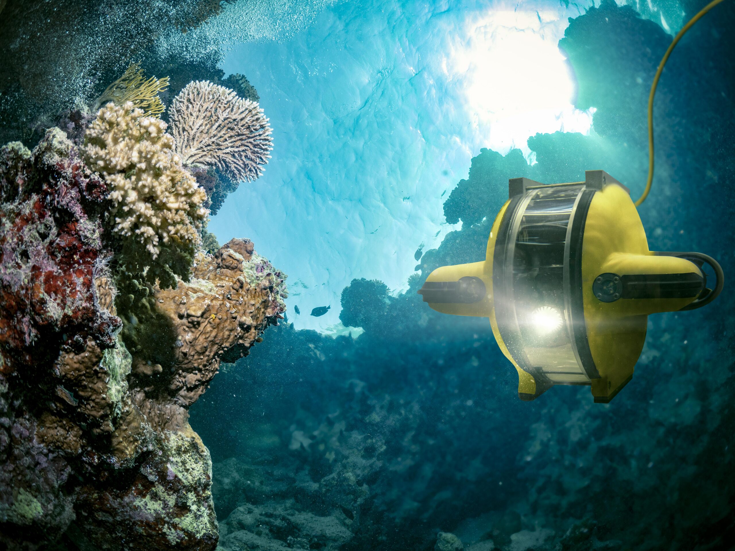 Deep-sea missions discover biodiversity below waves