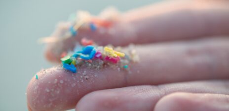 Microplastics found in human brain tissue raise new questions about long-term health