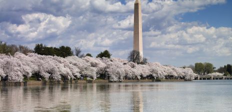 Trump Posts AI Image Placing Himself Beside Washington and Lincoln